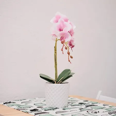 Casa Chicca Monti - Idromassaggio 900 M Colosseo